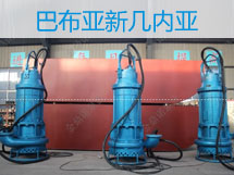 110千瓦潛水抽砂泵，漂洋過海到巴新